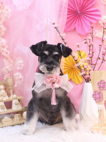 20250316ジジくん